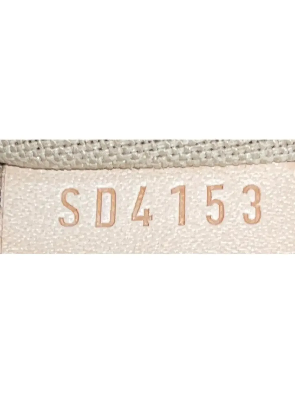 Louis Vuitton Delightful Handbag Canvas #320873L15B